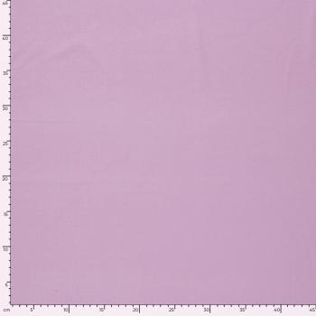 Punta di Roma Lavendel